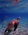original IMG 3664